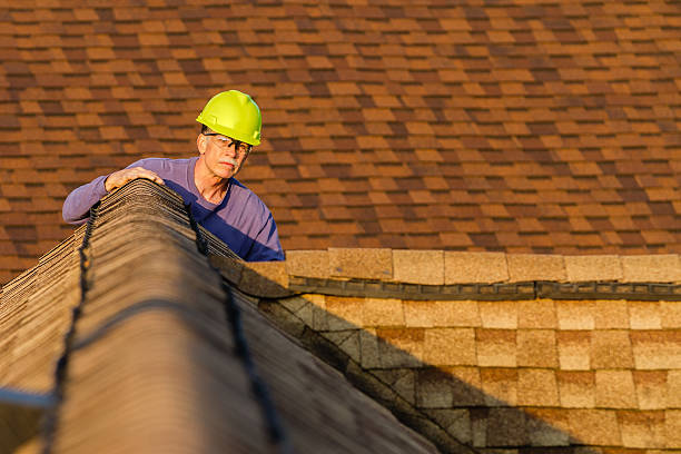 Best Roof Gutter Cleaning  in Batesville, IN