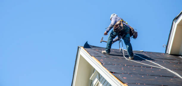 Roof Gutter Cleaning in Batesville, IN